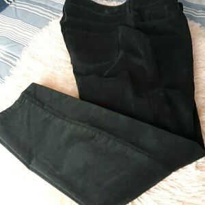 NWT Liz claiborne Velvet winter green jeans